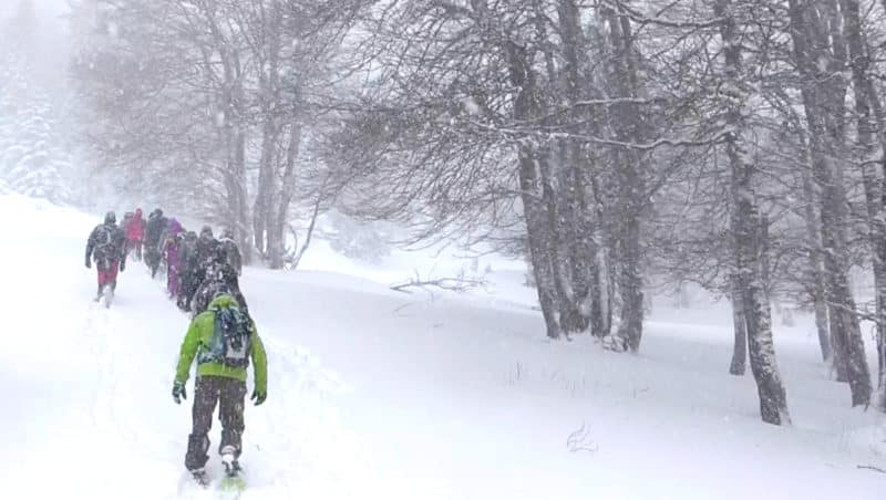 seminaire pyrenees Incentive pays basque Team building seminaire pyrenees Biathlon laser team buiding la mongie saint lary baqueira formigal Payolle agence evenementielle erronda pic du midi